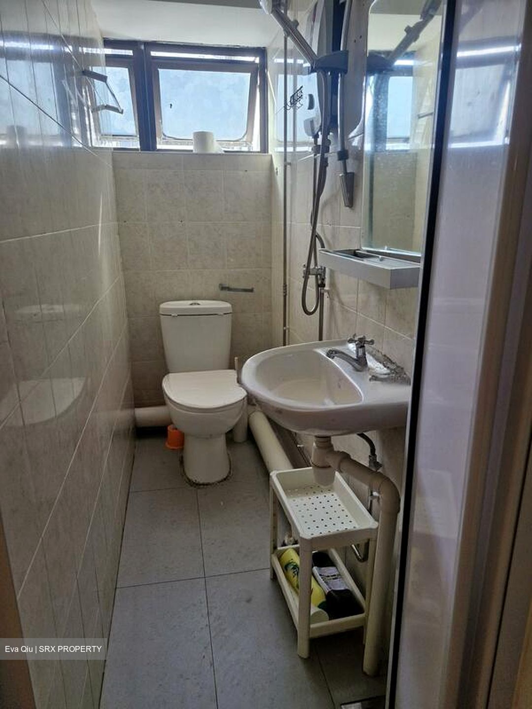 Lucky Plaza (D9), Apartment #504526901